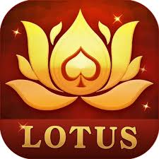 teen patti com download